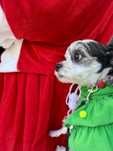 チップ　デカサンタ